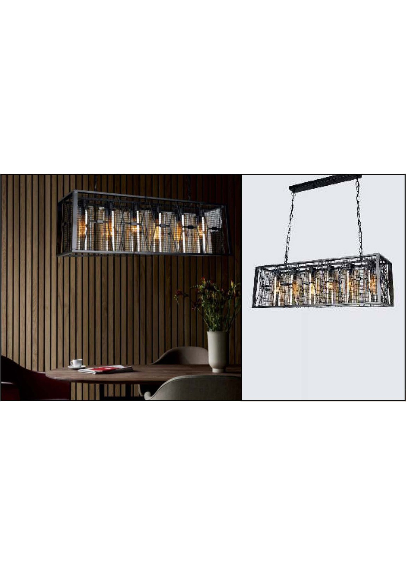 Beyond Lights - Cage Pendant Lamp- GL